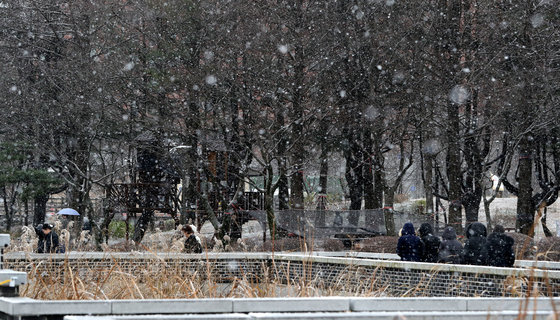 눈 내리는 풍경 자료사진. 2023.12.30. 뉴스1