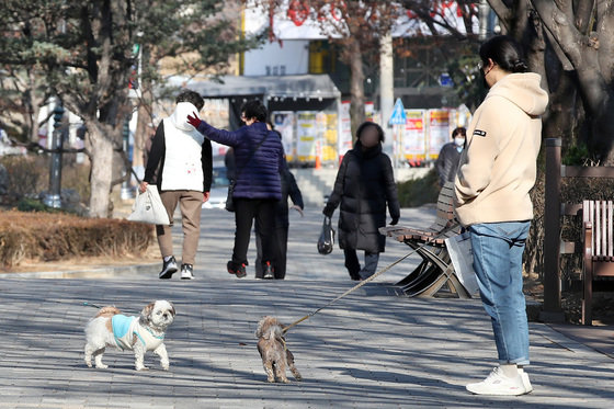 한파가 주춤하고 포근한 날씨가 이어진 26일 대구 달서구 월성공원에서 시민들이 반려견과 함께 산책하고 있다. 2023.12.26/뉴스1