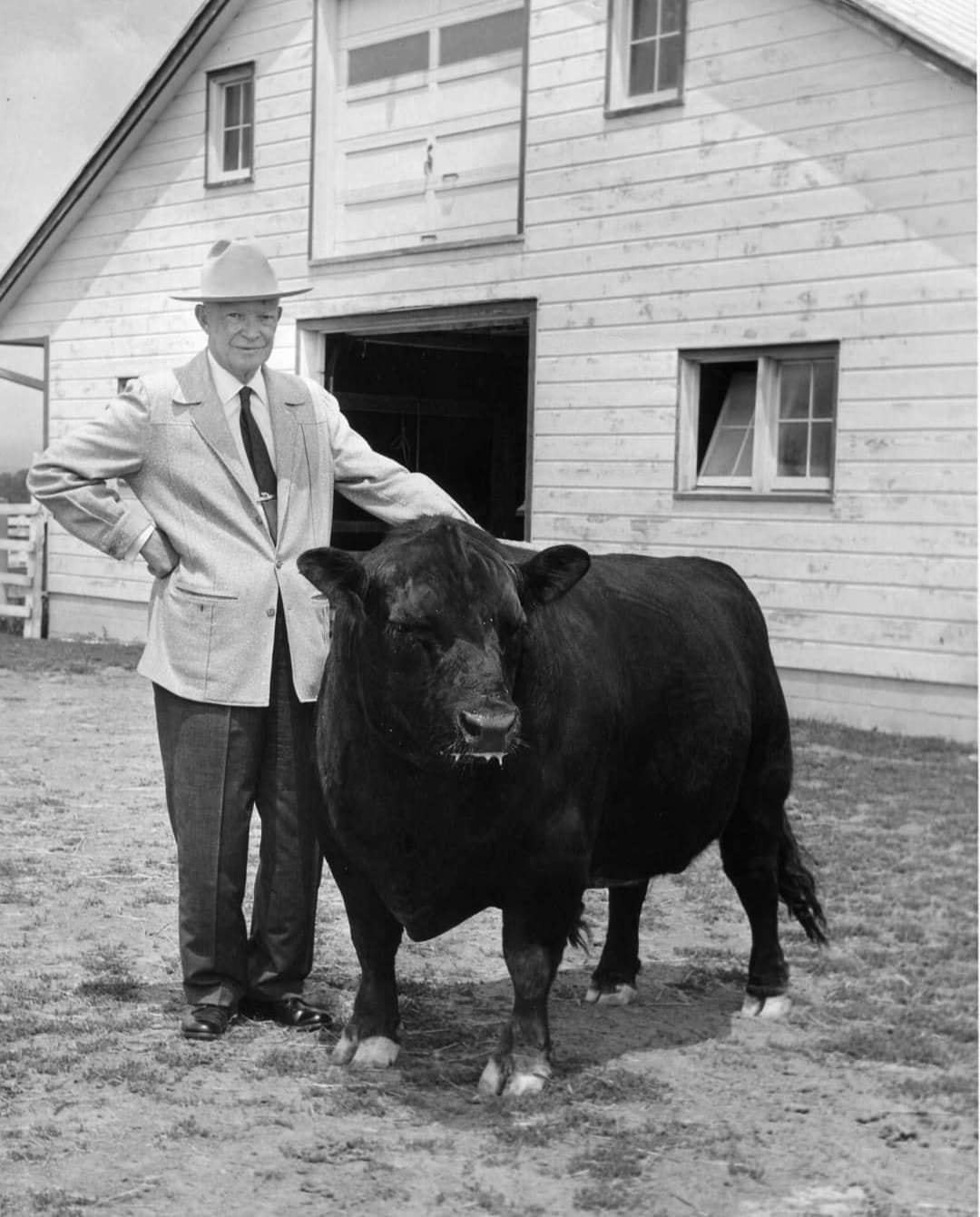 자신의 농장에서 앵거스 소를 쓰다듬고 있는 드와이트 아이젠하워 대통령, 미국 국립공원청(NPS) 홈페이지