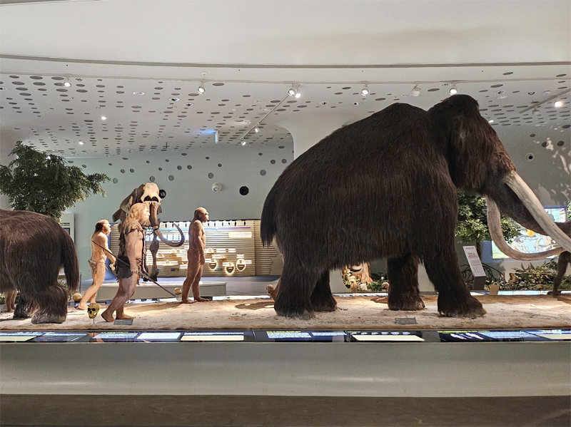 연천군 전곡선사박물관에서는 약 700만 년 전 인류 모습과 생활상 등 인류 발전사를 시대별로 전시하고 있다. 경기관광공사 제공