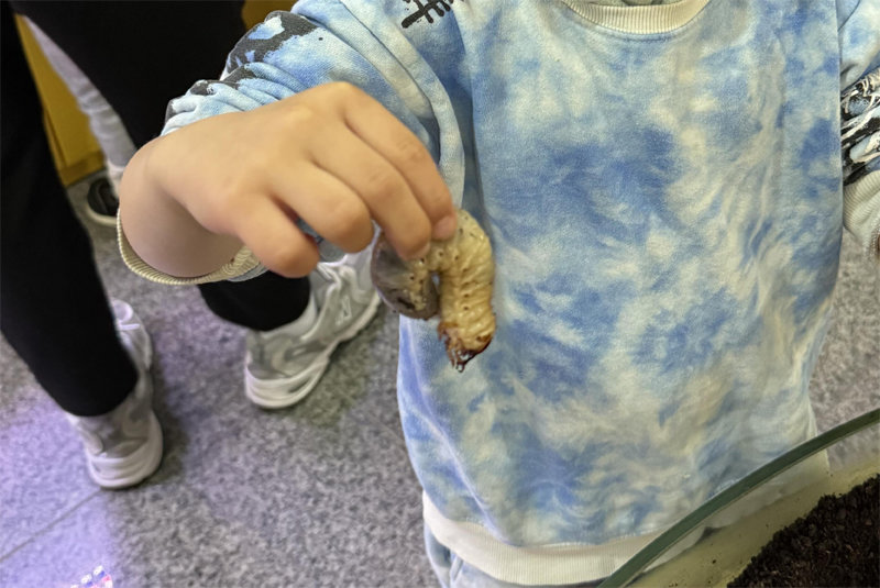 양평곤충박물관을 찾은 한 어린이가 살아 있는 곤충을 잡아 들어 보이고 있다. 경기관광공사 제공