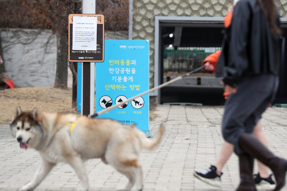 서울 영등포구 한강시민공원에서 반려견이 산책을 하고 있다.  2021.2.14/뉴스1 ⓒ News1
