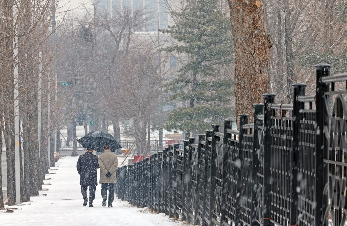 눈이 내린 지난 17일 오후 경기 과천시 한 거리에서 시민들이 이동하고 있다. 2024.01.17. 뉴시스