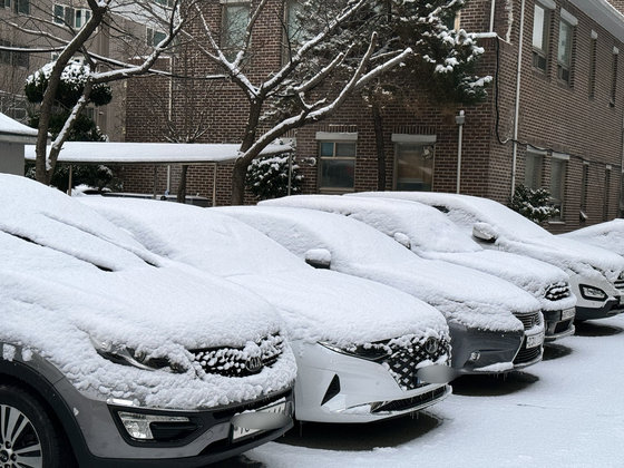 최대 13.5㎝의 눈이 내린 23일 오전 광주 서구의 한 아파트에 주차된 차량 위에 눈이 쌓여 있다. 2024.1.23. 뉴스1
