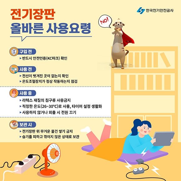 한국전기안전공사