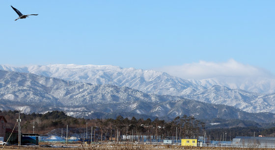 연일 한파가 이어지는 24일 강원도 강릉시 대관령 일대에 눈이 쌓여 멋진 설경을 보이고 있다. 2024.1.24. 뉴스1