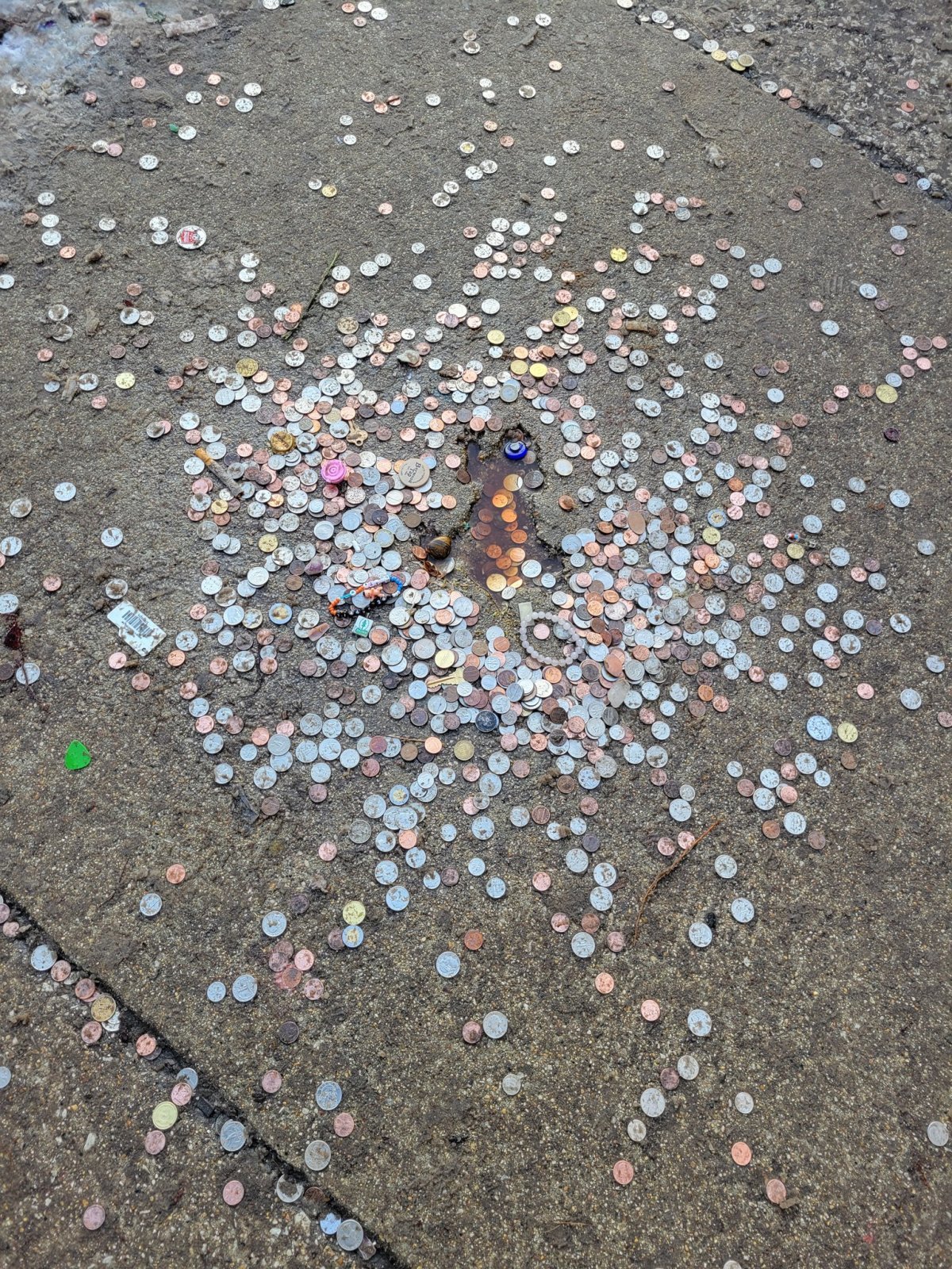 ‘시카고 랫홀’에 사람들이 행운을 빌며 동전을 던진 모습. X(옛 트위터) 캡처 @WinslowDumaine