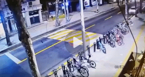 50대 여성 운전자와 80대 여성 동승자가 탄 자동차가 건물에 충돌했다. 채널A 영상 캡처