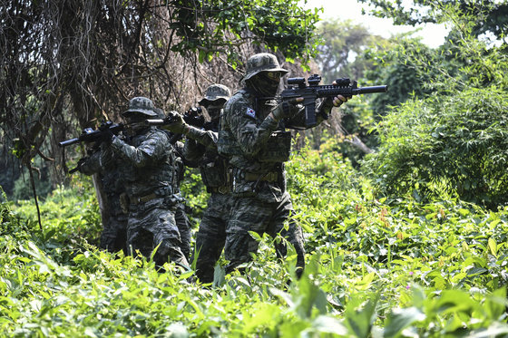 한국 해병대 수색팀이 태국 현지 정글에서 경계하며 전술기동을 하고 있다. (해병대 제공) 2023.3.6. 뉴스1