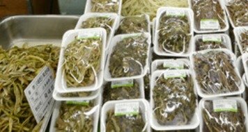 설을 앞두고 시중에 유통되고 있는 삶은 고사리. (사진은 기사 내용과 무관함) / 뉴스1