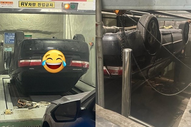 (보배드림 갈무리)