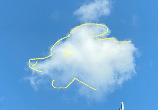 B씨가 첨부한 사진. (지식인 갈무리)