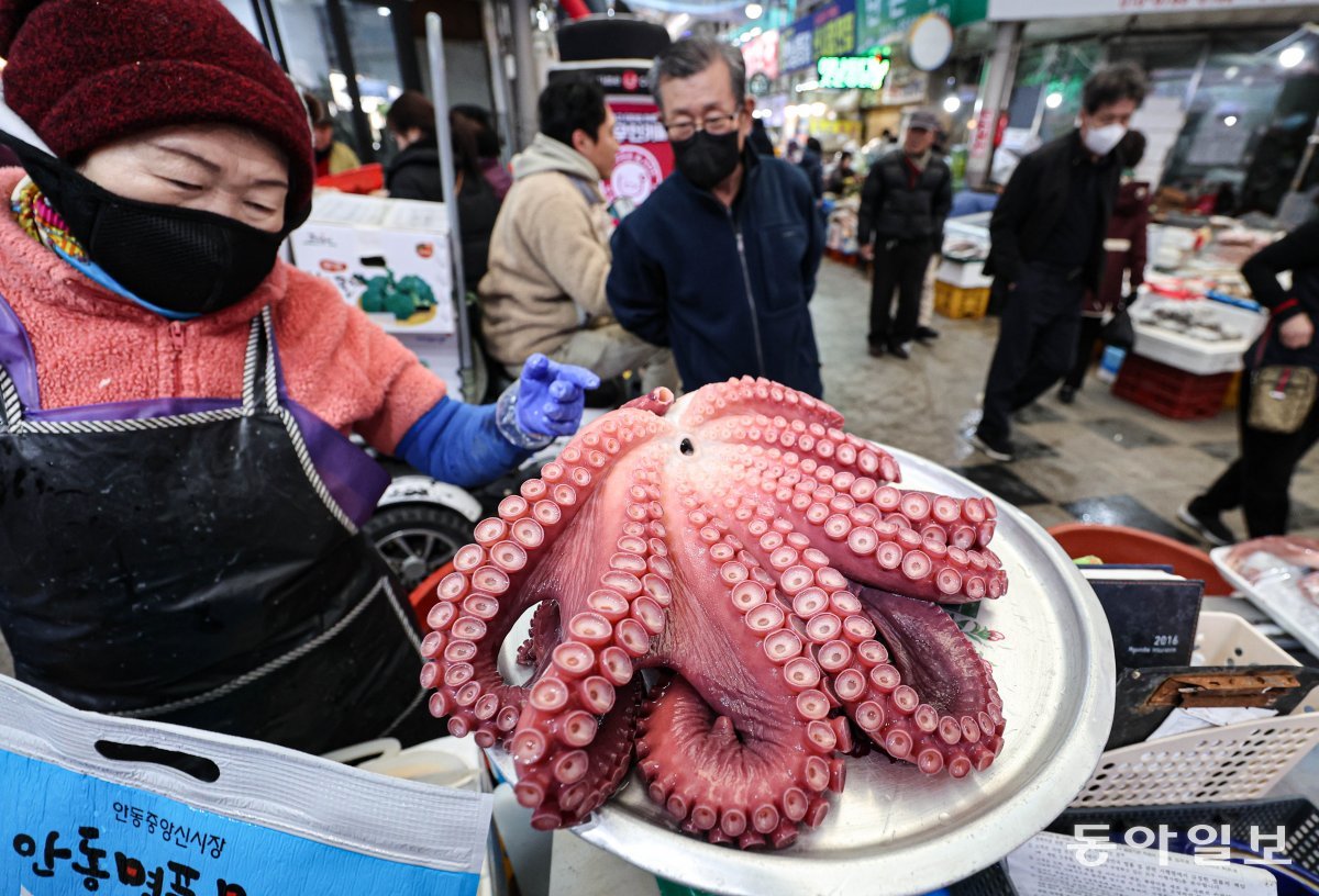 설 명절 연휴를 이틀 앞둔 7일 오전 경북 안동 중앙신시장에서 한 상인이 제수용 문어를 저울에 달고 있다. 안동=이한결 기자 always@donga.com