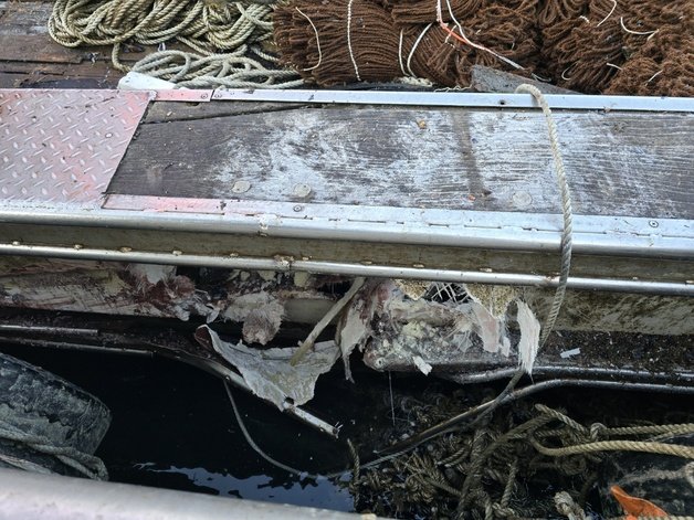 선박 충돌 사고가 난 B호. (동해해경 제공) 2024.2.8/뉴스1