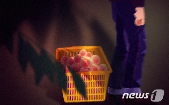 ⓒ News1 DB