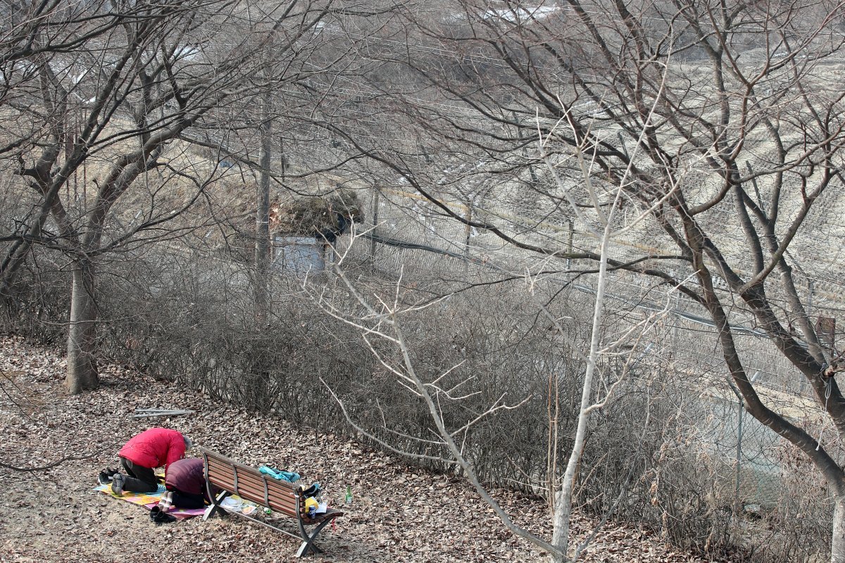 설날인 10일 오전 파주 임진각에서 실향민 가족들이 차례를 지내고 있다. 사진=뉴스1