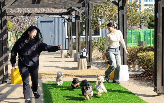 15일 부산 남구 동명대에서 열린 ‘동숲’ 개장식 후 반려동물보건학과 재학생들이 반려견 산책 시범을 보이고 있다. 동명대 제공