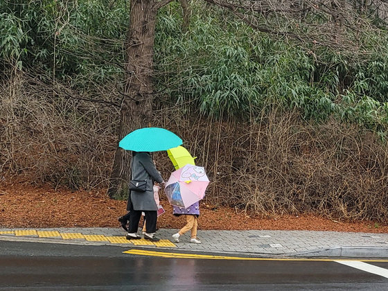 경북 포항시 전역에 봄비가 내리고 있는 가운데 우산을 쓴 한 가족이 남구 지곡동 도로를 걸어가고 있다. 2024.2.20/뉴스1
