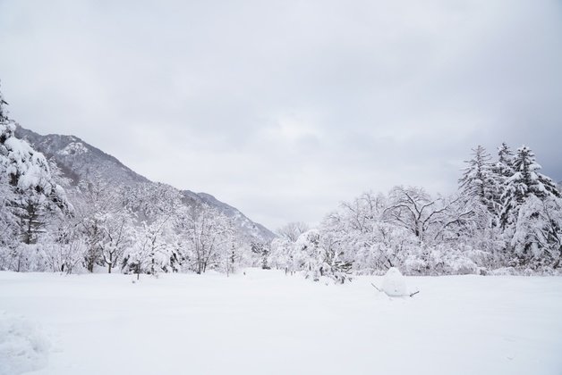 설국으로 변한 설악산.(자료사진)