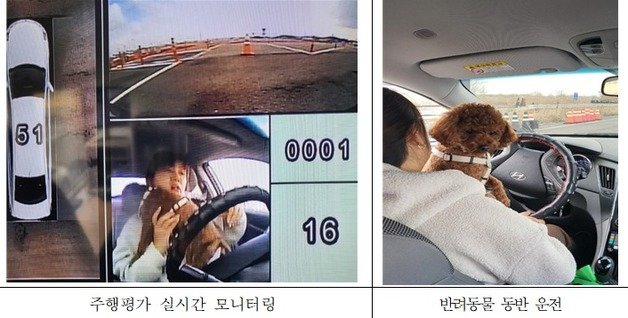 반려동물 동반 운전 이미지.(한국교통안전공단 제공)