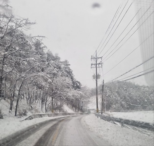 강원 산지와 동해안을 중심으로 대설특보가 발효된 21일 강릉 강동면 언별리 일대에 눈이 쌓이고 있다. 2024.2.21/뉴스1