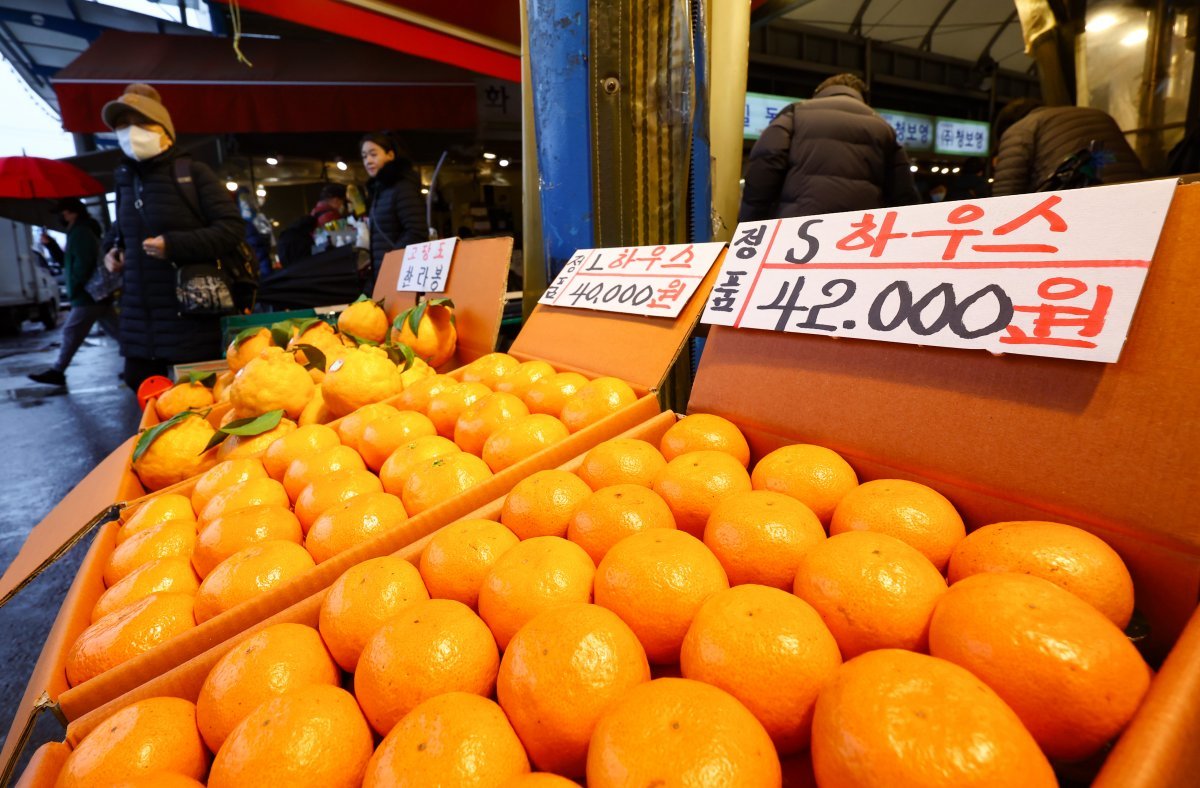 21일 서울 동대문구 청량리종합시장에서 귤 한 박스가 4만 원대에 판매되고 있다. 이날 한국은행이 발표한 1월 생산자물가지수는 121.80(2015년 100)으로 전월 대비 0.5% 올랐다. 특히 감귤이 전월 대비 48.8%, 사과는 7.5% 오르는 등 농산물 가격의 상승 영향이 컸다. 뉴시스