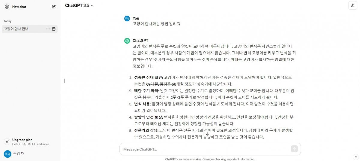 챗GPT에 질문하고 답변을 받는 모습 / 출처=IT동아