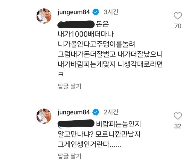 배우 황정음이 쓴 댓글. 황정음 인스타그램 캡처