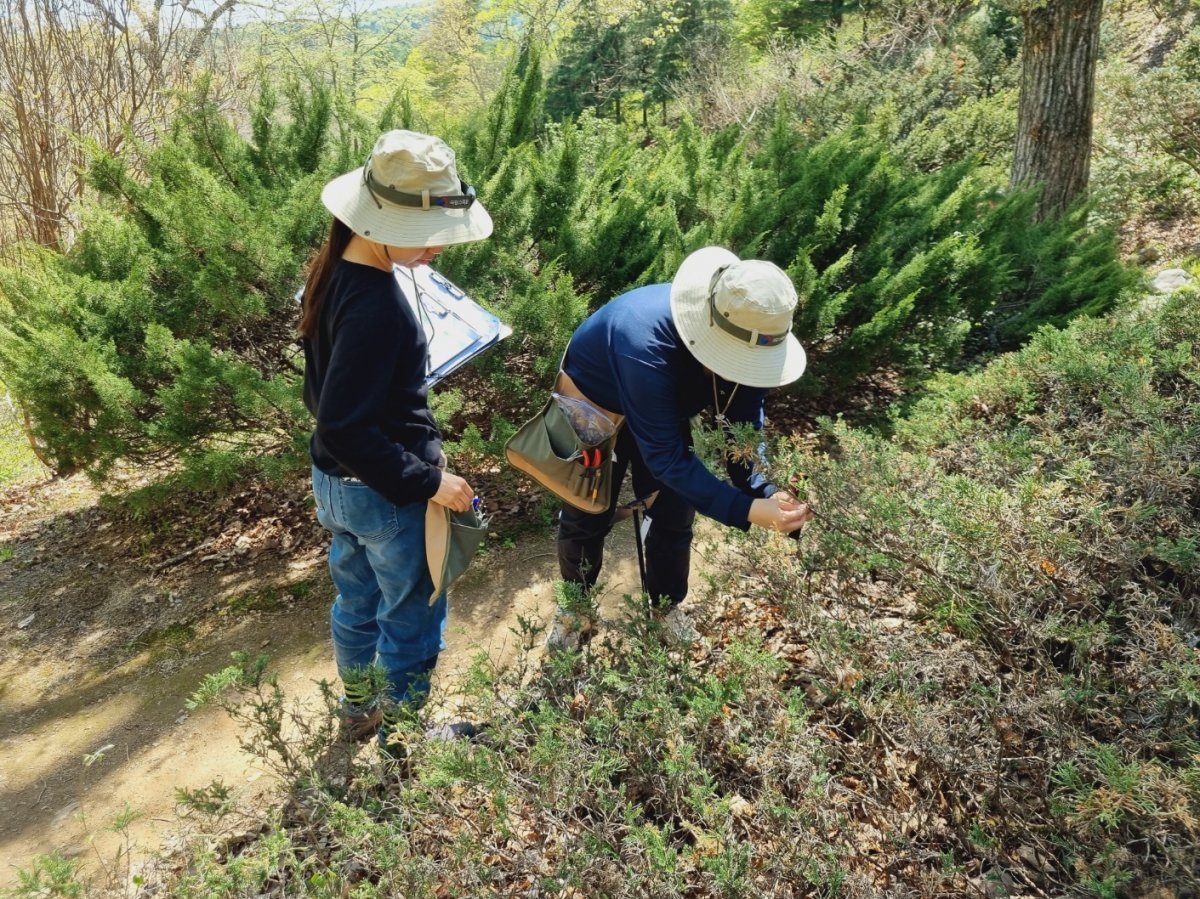 식물연구와 수목원 현장관리를 두루 담당하는 국립수목원 직원들. 국립수목원 제공