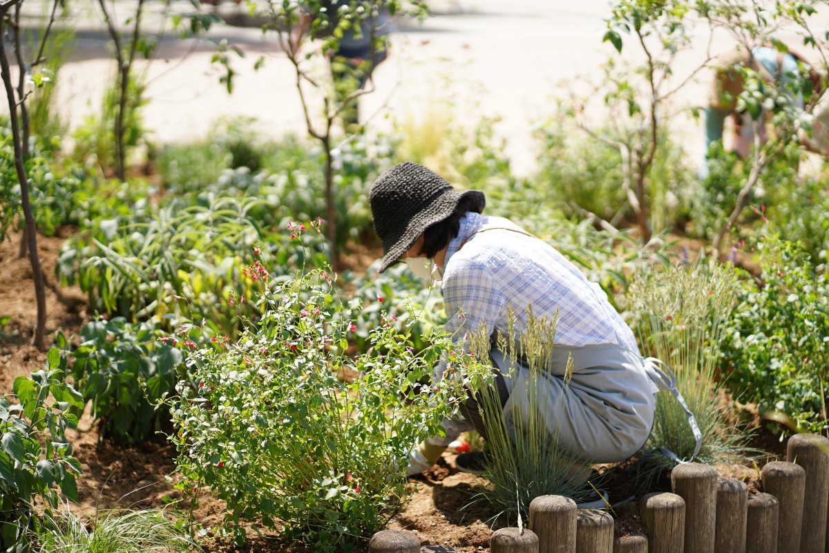 환자를 돌보는 가족이 정원활동을 통해 단조로운 돌봄 노동에서 벗어나 정원에서 위로를 얻는 모습. 국립수목원 제공