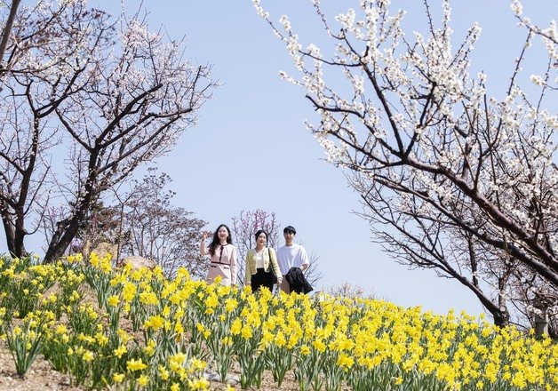 하늘정원길에서 봄 풍경을 감상하는 관람객들의 모습(에버랜드 제공)