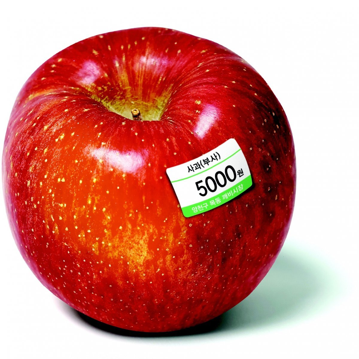 사과 한개 5000원… 과일값 32년만에 최대폭 올라
