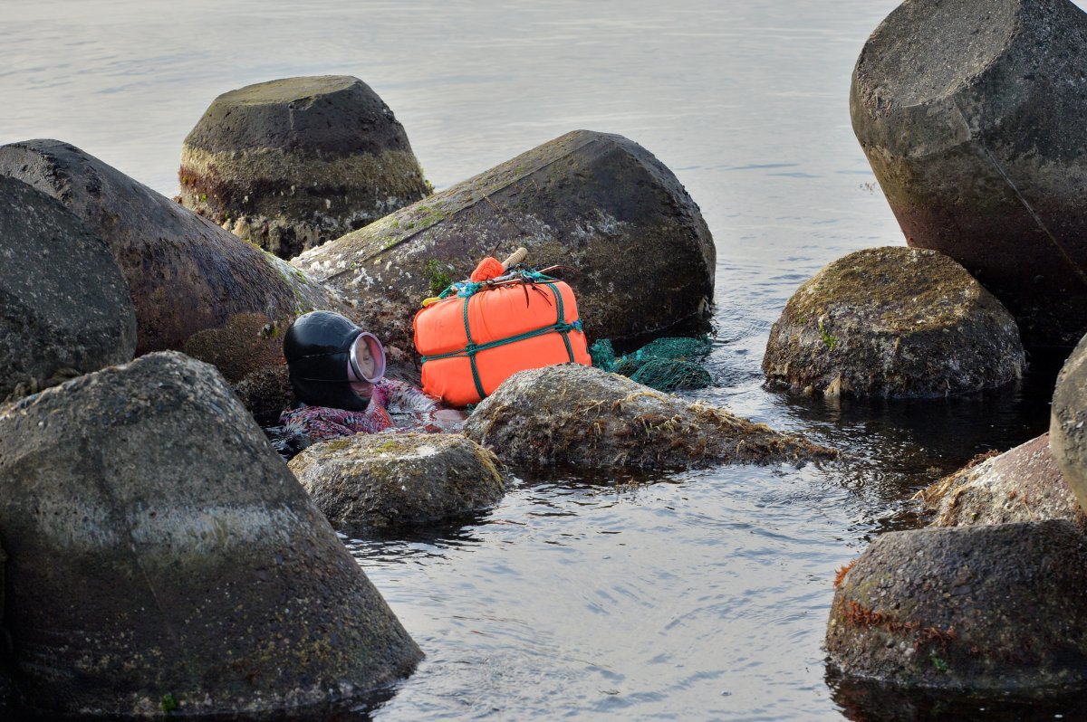 경북 포항시 북구 환여동 해안에서 해녀들이 수확한 돌미역을 옮기고 있는 모습.(뉴스1 자료) 2020.3.9/뉴스1 ⓒ News1