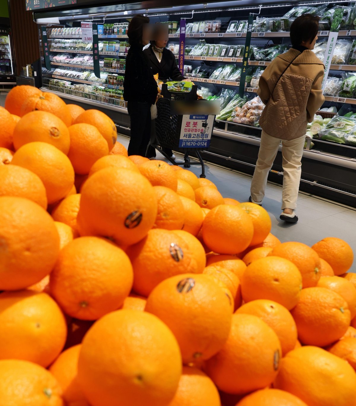 오렌지 가득 쌓인 대형마트 최근 국산 과일 가격이 치솟으면서 과일 수입이 급증한 가운데 11일 서울의 한 대형마트 과일, 채소 코너에 수입 오렌지를 쌓아놓은 모습. 뉴시스