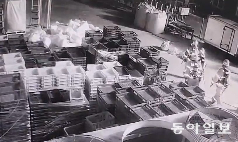 1월 31일 경북 문경시 신기동에 있는 지상 4층 육가공업체 공장 화재 당시 인명구조를 위해 불타는 공장 내부로 진입하는 소방대원들이 촬영된 CCTV 영상. 동아일보DB