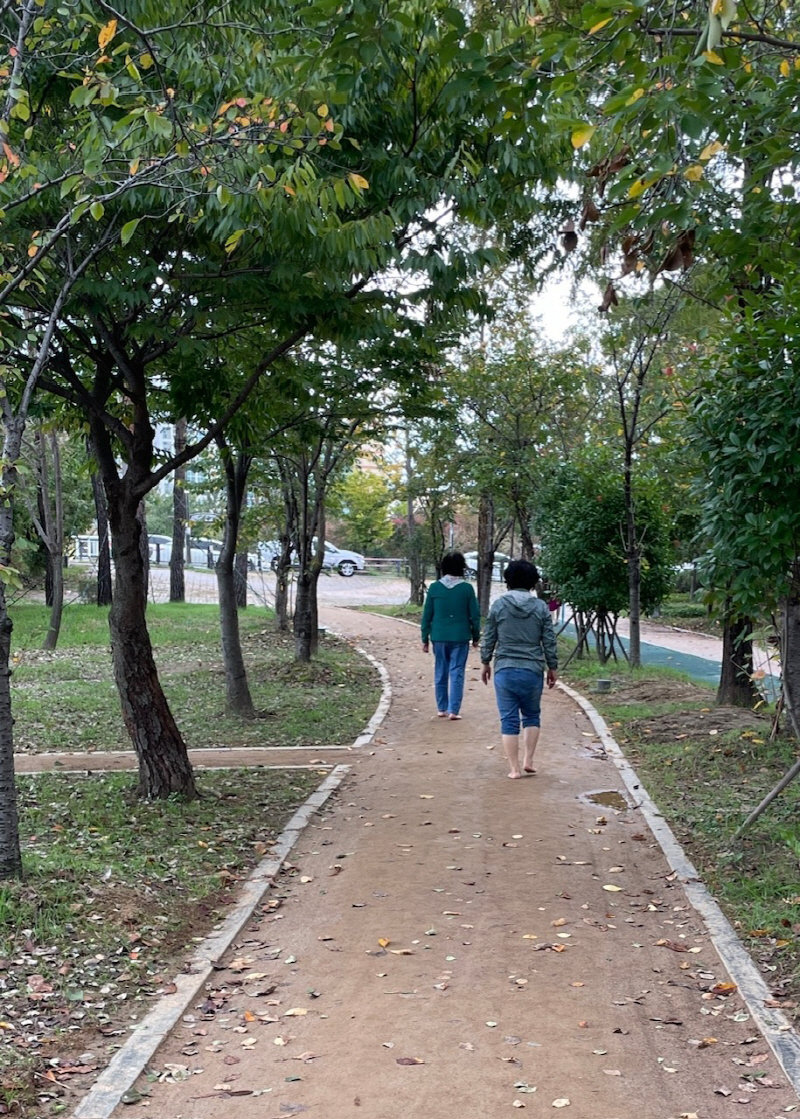 광산구 풍영정천변길 근린공원 산책로에 조성된 맨발길을 주민들이 걷고 있다. 광주 광산구 제공