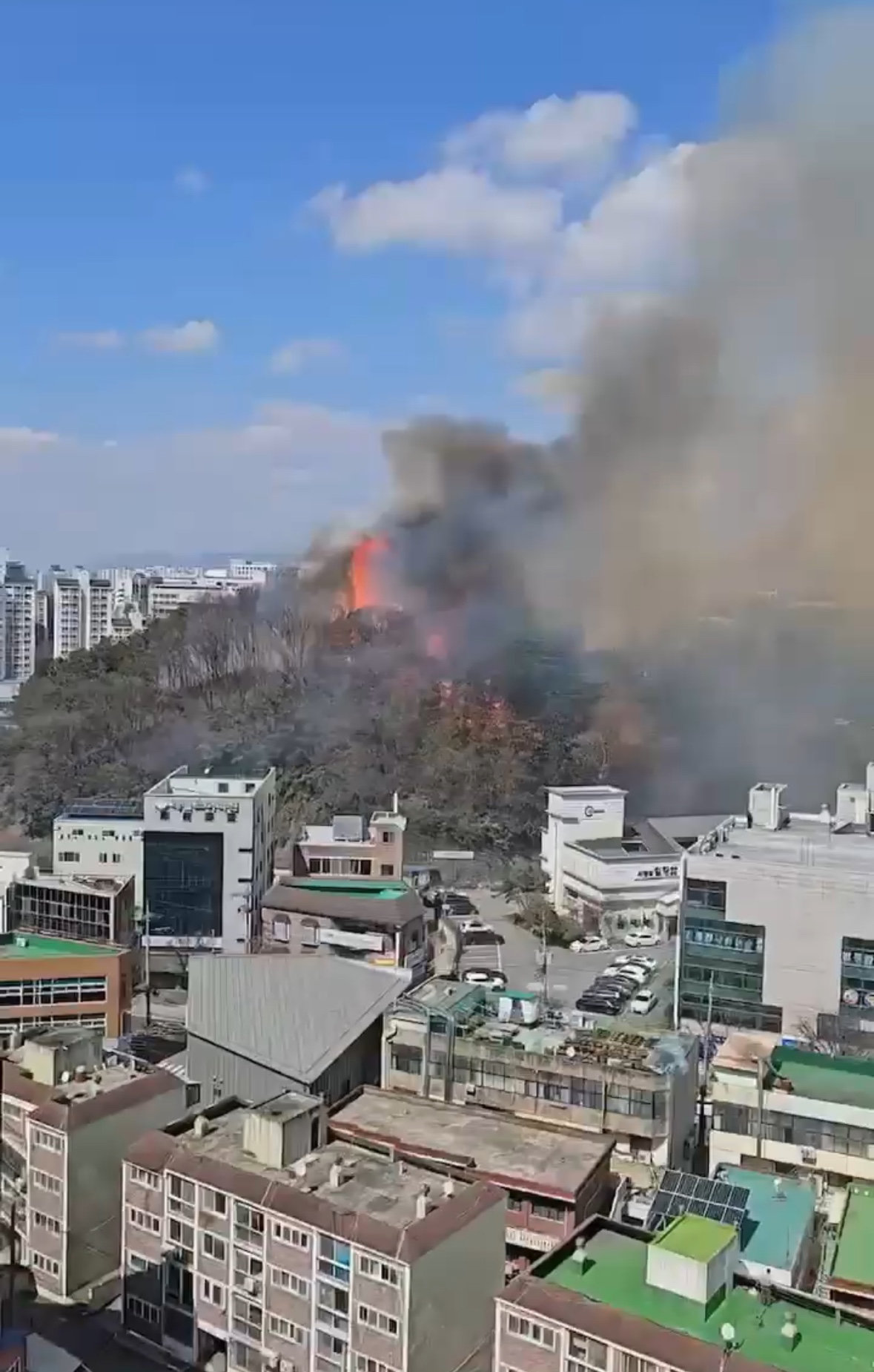 20일 오후 1시 11분쯤 광주 동구 학동의 미양산에서 불이 나 소방과 산림당국이 진화작업을 하고 있다. (독자 제공) 2024.3.20/뉴스1