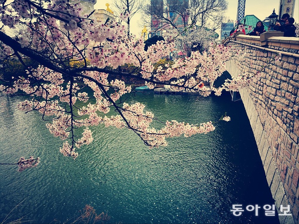 옛날 사진 효과를 준 봄 꽃 사진 / 출처=IT동아