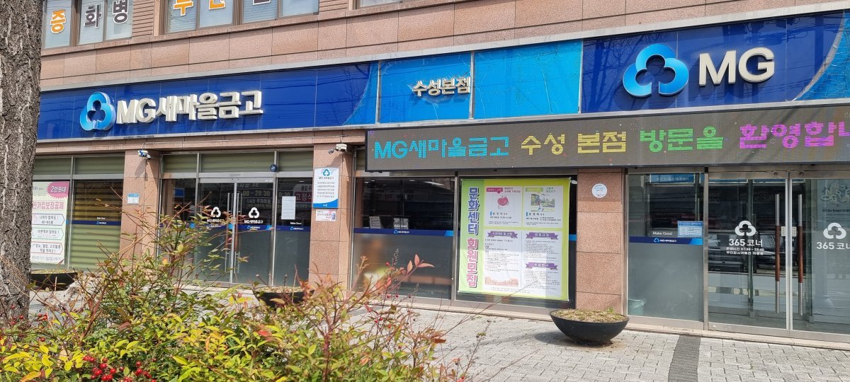 양문석 더불어민주당 경기 안산갑 후보가 편법을 동원해 20대 대학생 딸 명의로 11억 원의 대출을 받은 대구 새마을금고 수성지점 본점 전경. 뉴스1