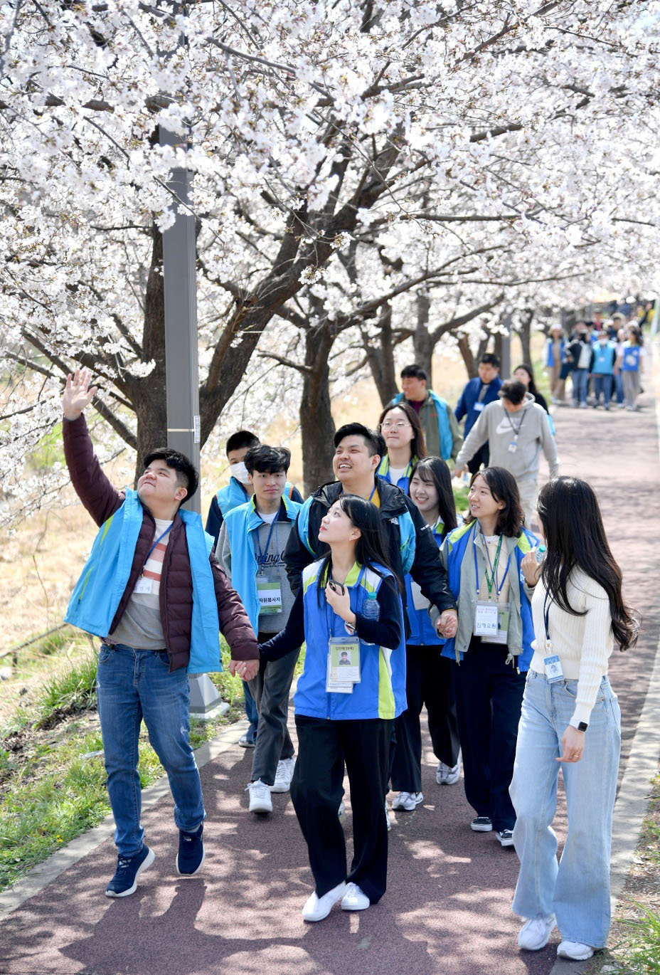 한국조폐공사 자원봉사자들이 초청된 정신장애인들과 함께 벚꽃이 만개한 조폐공사 주변 벚꽃길을 즐겁게 산책하고 있다. 한국조폐공사 제공