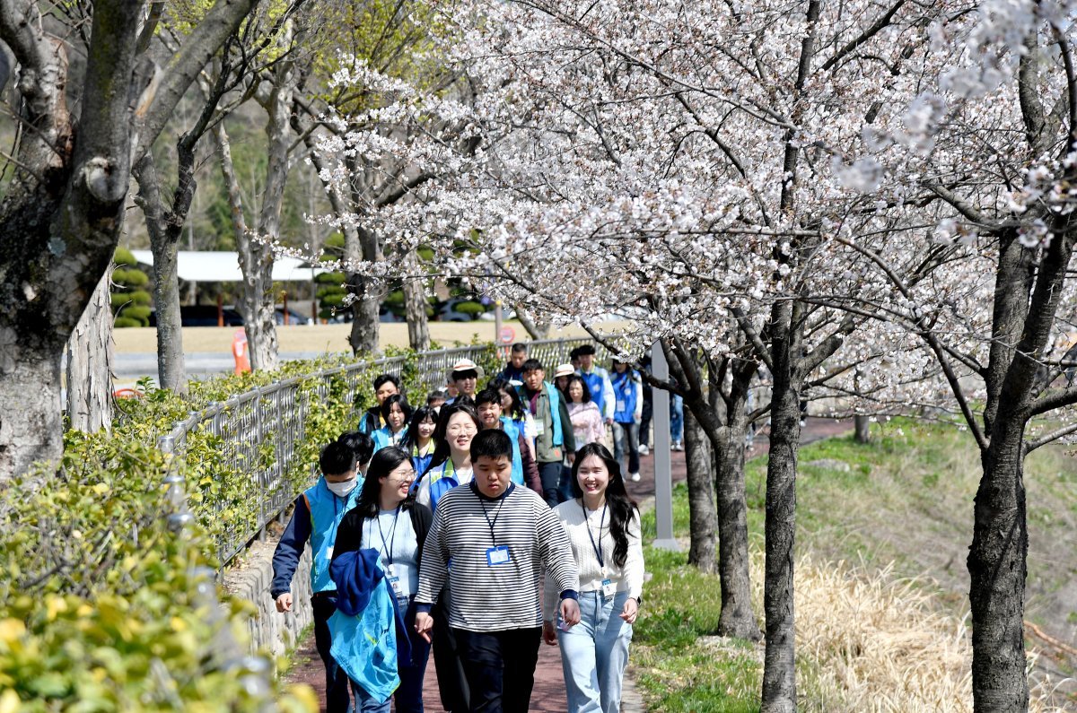 한국조폐공사 자원봉사자들이 초청된 정신장애인들과 함께 벚꽃이 만개한 조폐공사 주변 벚꽃길을 즐겁게 산책하고 있다. 한국조폐공사 제공