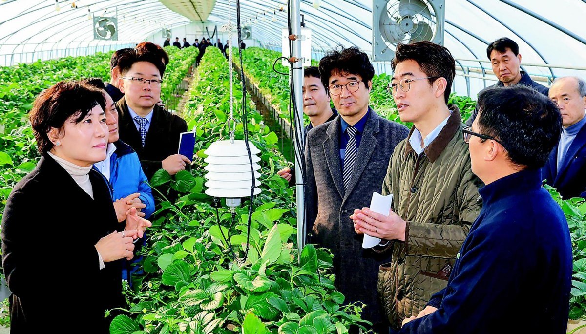 송미령 농림축산식품부 장관(왼쪽)이 올 2월 디지털 파밍 솔루션 ‘팜스올’을 활용하는 충남 논산 딸기 스마트팜을 둘러보고 있다. 농림축산식품부 제공
