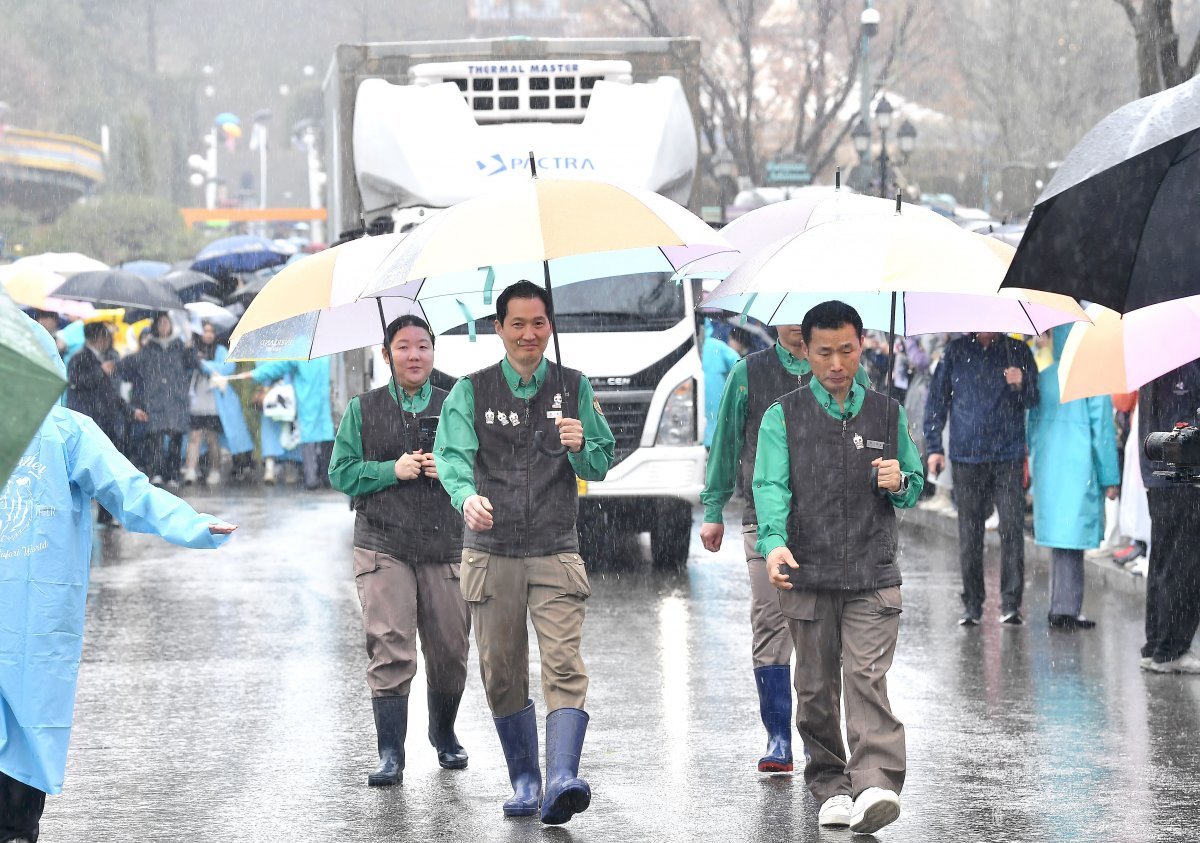 3일 오전 경기도 용인시 에버랜드에서 판다월드 사육사들이 중국으로 떠나는 자이언트 판다 ‘푸바오’를 싣고 있는 무진동 특수 차량과 함께 이동하고 있다. 2024.4.3 사진공동취재단