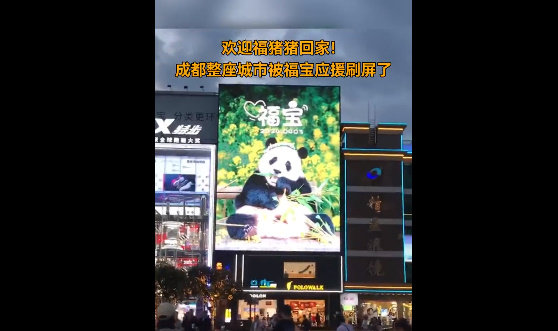 청두 거리에 푸바오를 환영하는 대형 포스터가 걸렸다. 웨이보