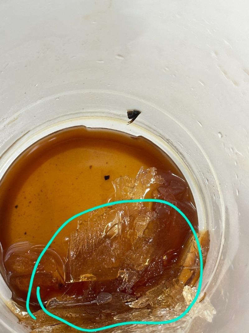 손님이 벌레가 나왔다고 주장하는 커피 사진. 온라인 커뮤니티 ‘보배드림’ 캡처