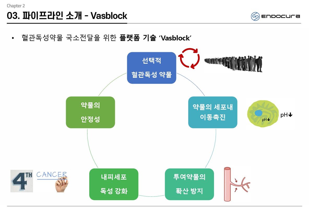 바스블록은 혈관 독성 약물의 독성을 강화시키는 시스템이다. / 출처=엔도큐라