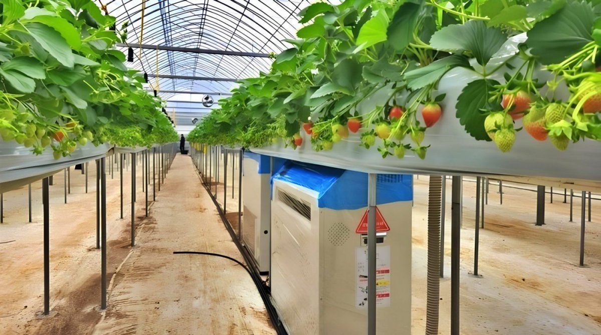 딸기 농장에 설치된 아이토브에너지의 농업용 냉·난방기 / 출처=아이토브에너지