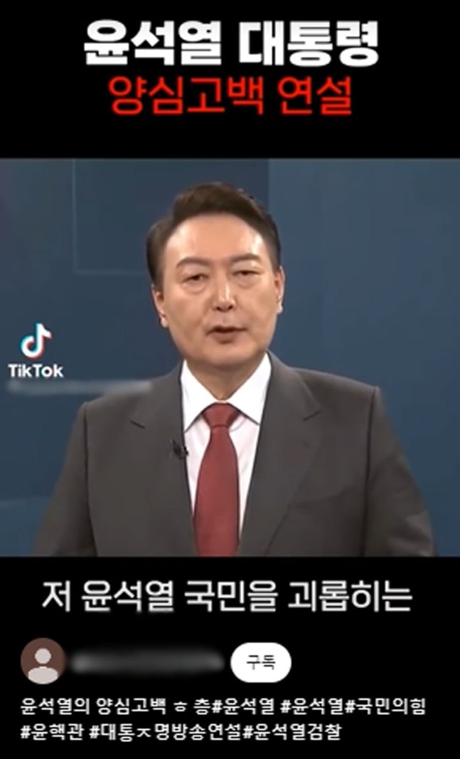 틱톡 등에서 확산했던 윤석열 대통령 짜깁기 영상. 틱톡 캡처