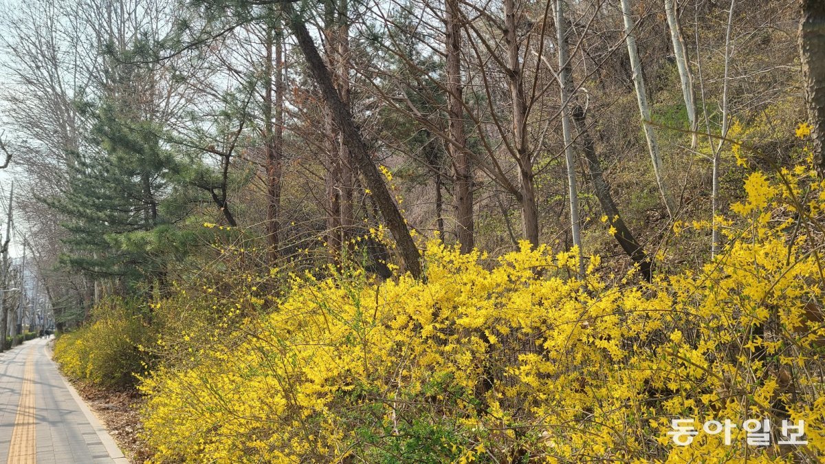 봄은 약동하는 계절이자 새 생명이 산과 들을 가득히 채우는 거룩한 시간이기도 하다. 유윤종 문화전문기자 gustav@donga.com