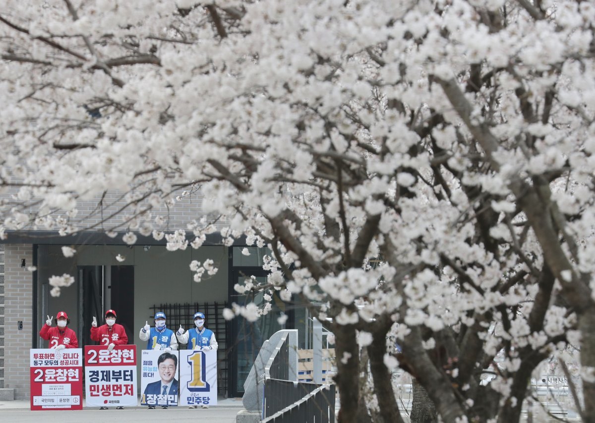 제22대 국회의원 선거 사전투표가 시작된 5일 오전 대전 동구 대청동 일원에서 더불어민주당, 국민의힘 선거운동원들이 선거운동을 하고 있다. 2024.4.5 뉴스1